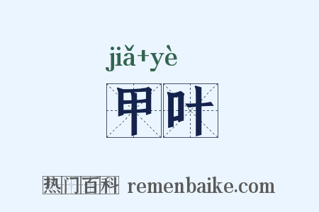 甲叶是什么意思的图片